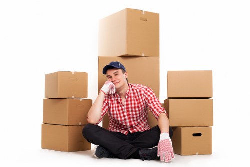 Packed boxes and furniture prepared for temporary storage